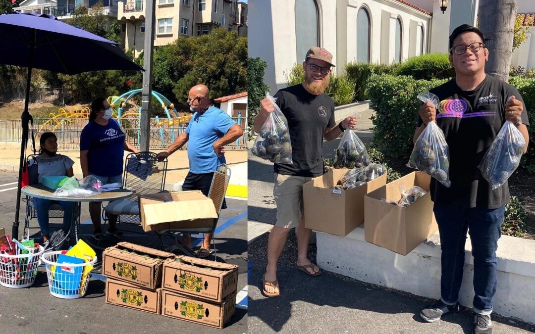 Avocado Delivery
