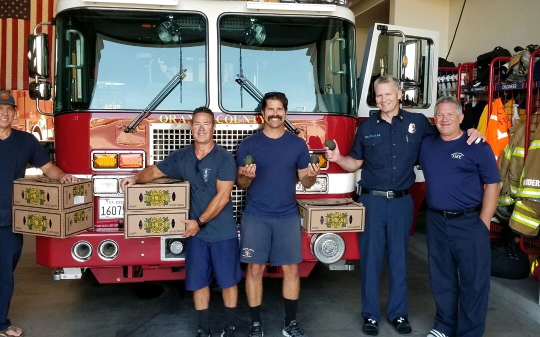 Avocados for the Fire Stations