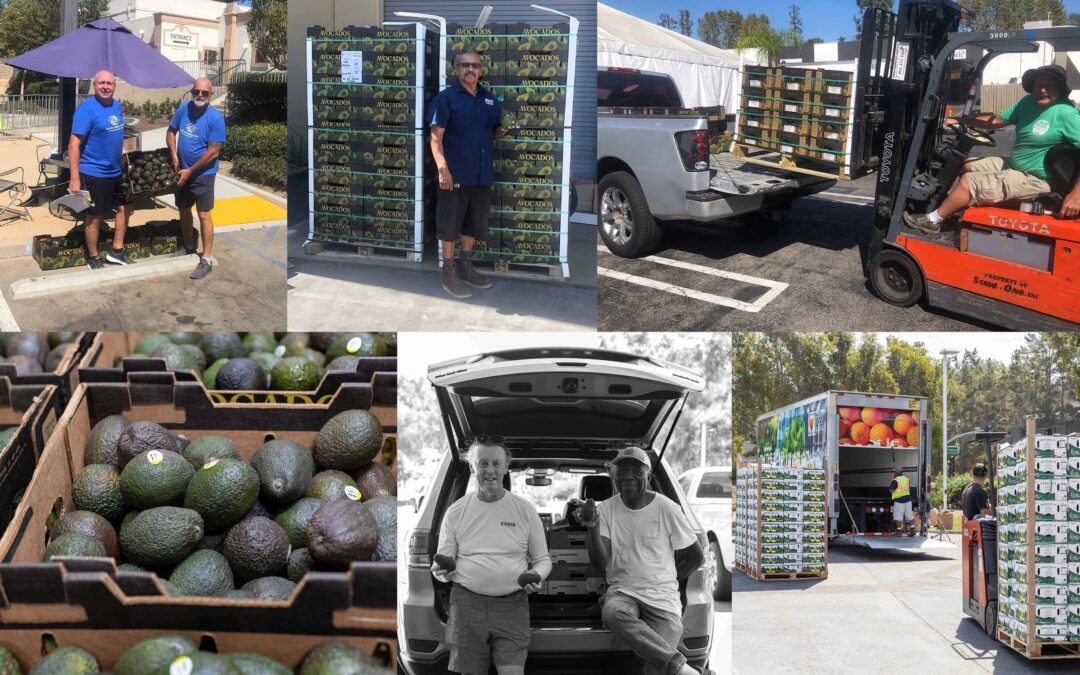 27,400 pounds of organic avocados
