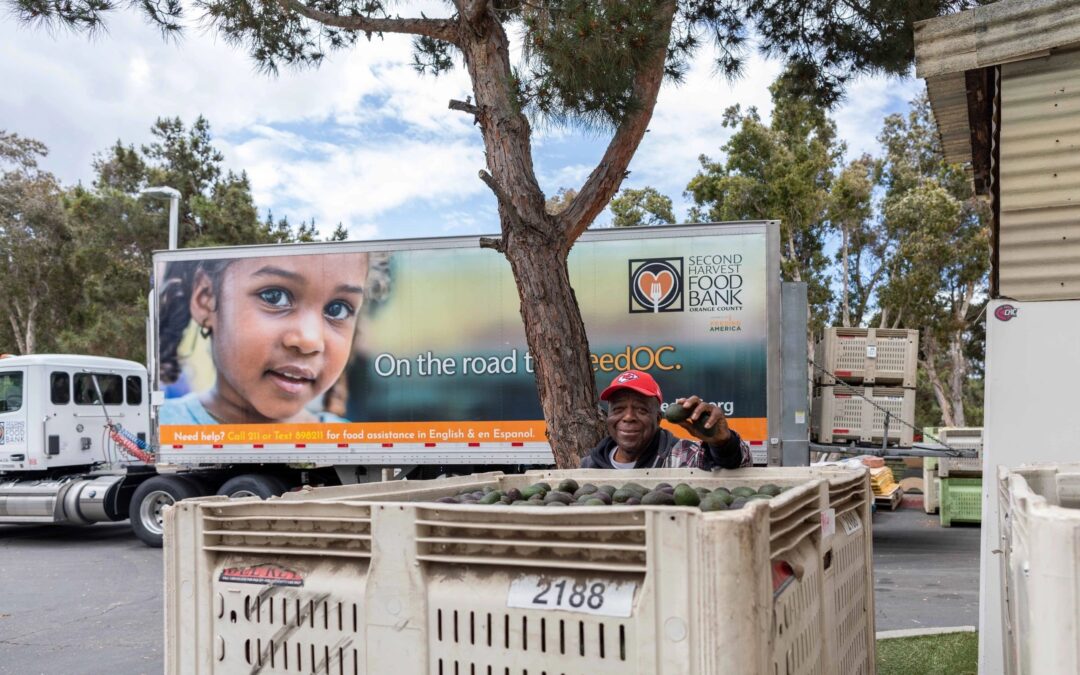 18,636 pounds of organic fruits