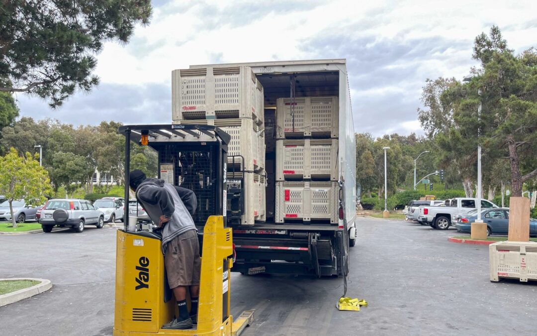 28 pallets were given out