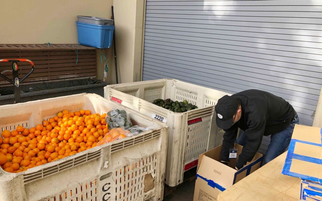 1980 POUNDS OF AVOCADOS & ORANGES
