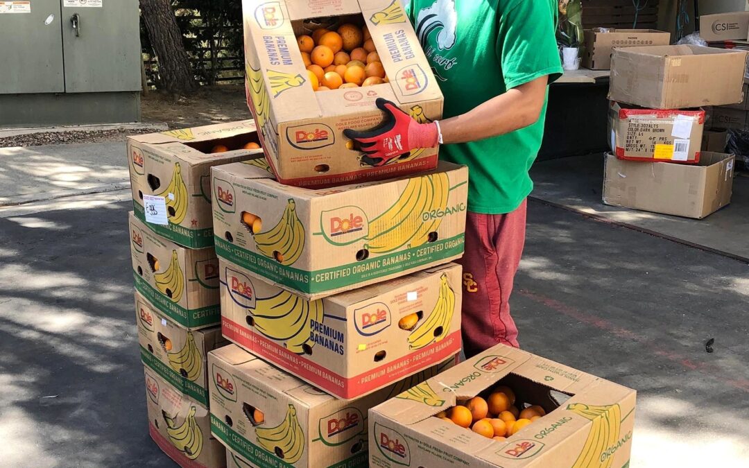 HELPING HAND WORLDWIDE