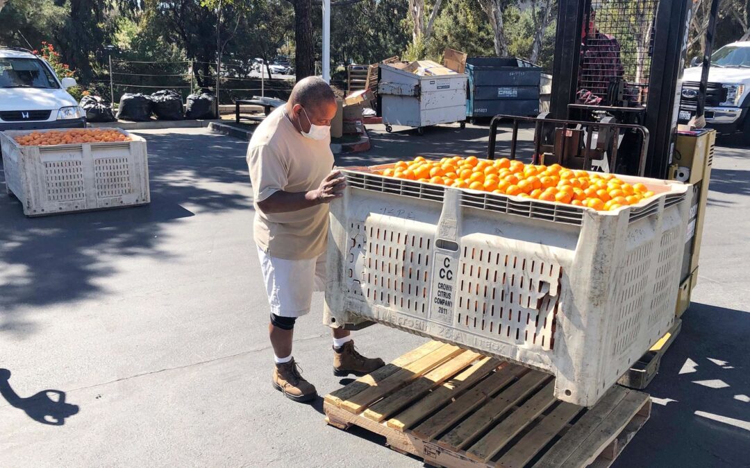 SECOND HARVEST FOOD BANK
