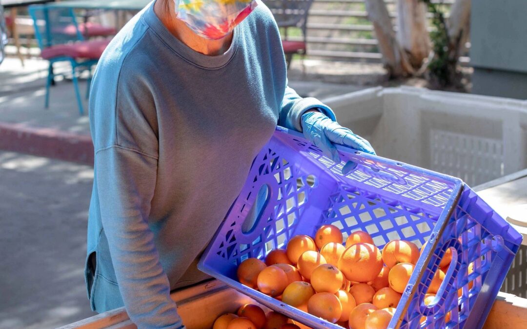 Laguna Food Pantry