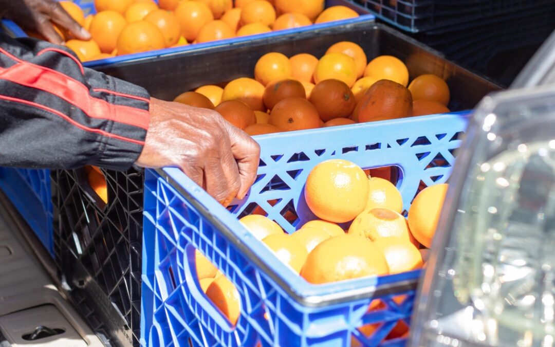 Laguna Food Pantry