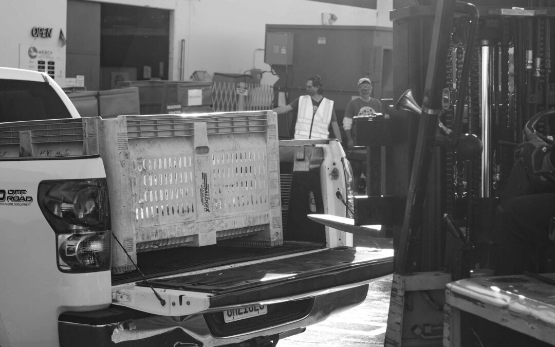 Mercy Warehouse