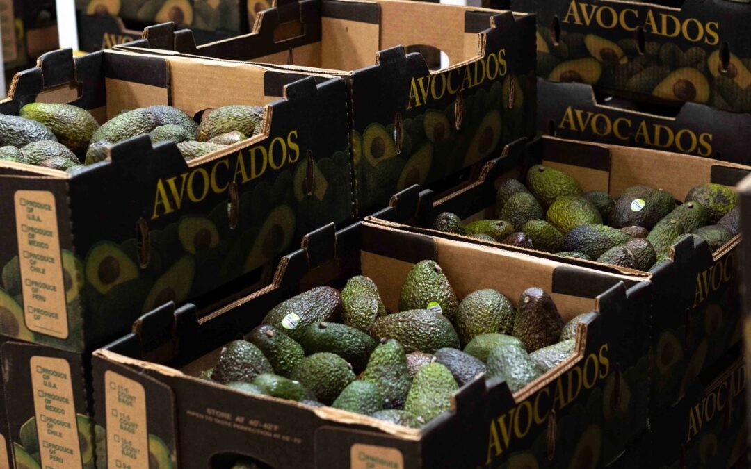 9,990 pounds of organic avocados