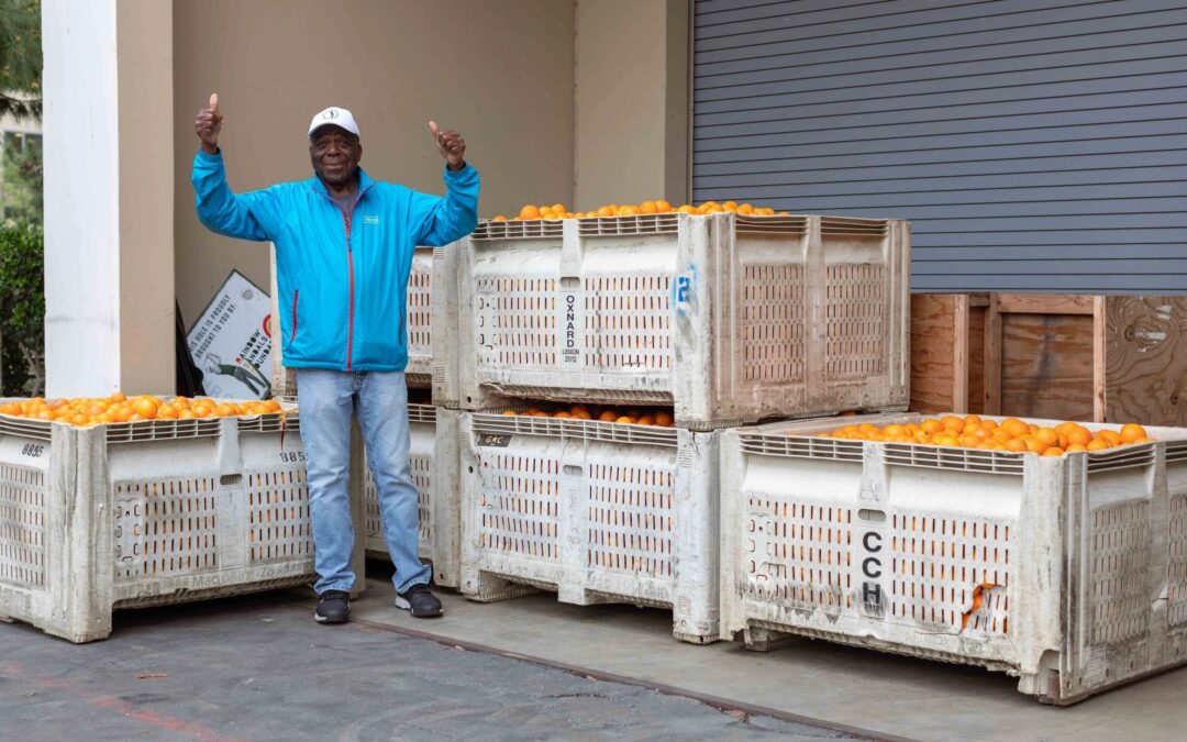 5 bins of oranges for SHFBOC