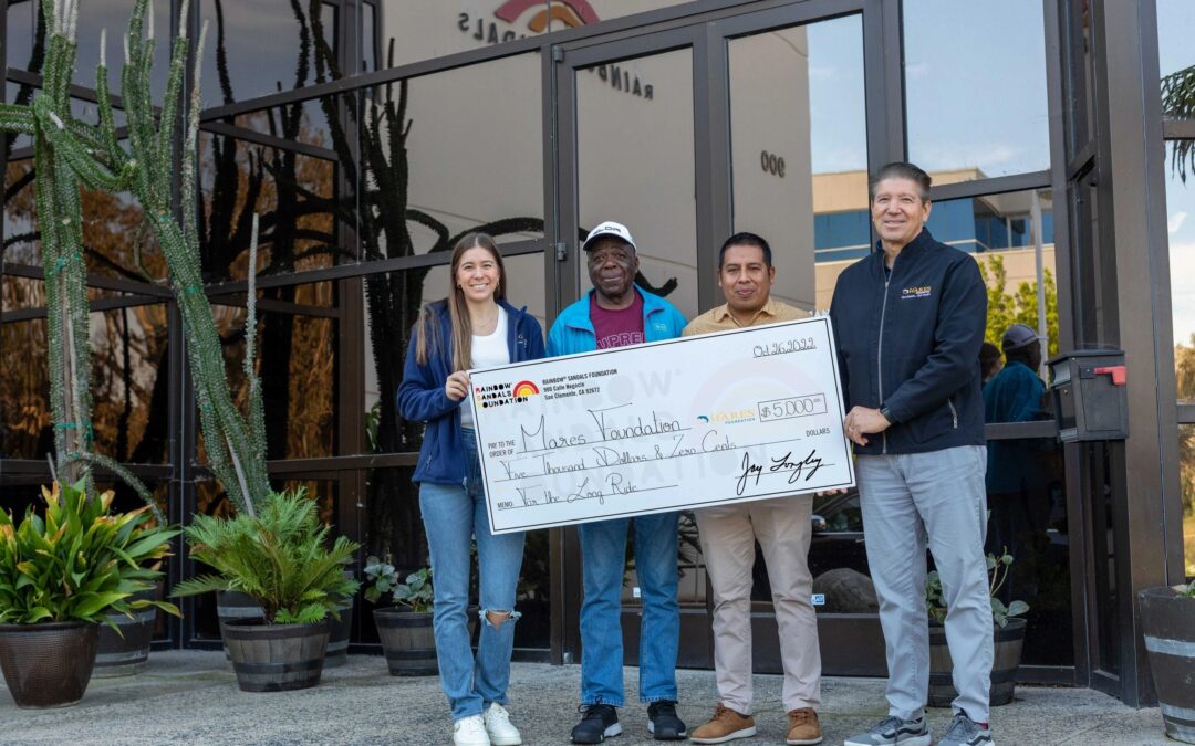 Mares Foundation