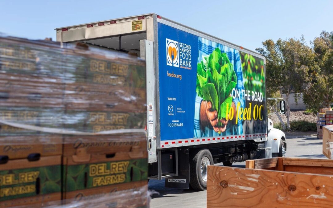1580 pounds of avocados