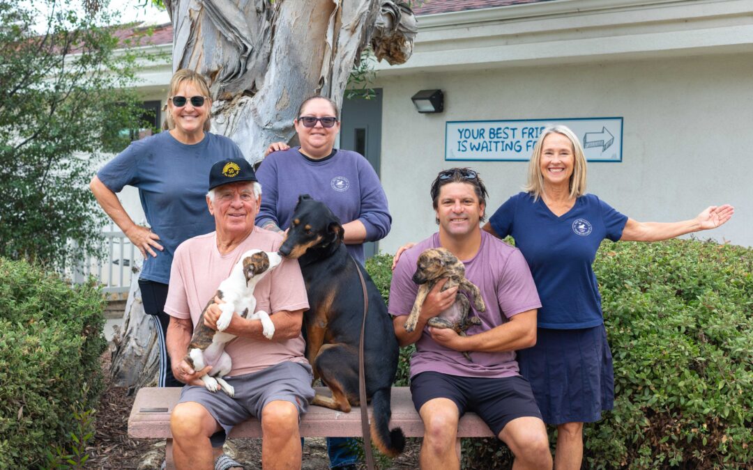Pet Project Foundation